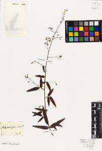 SW_BNB_s3010-09120_IMG-0000000001