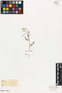 SW_BNB_s3010-09125_IMG-0000000001