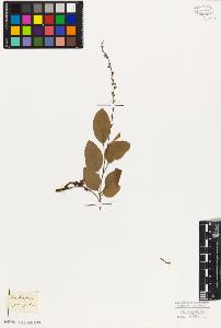 SW_BNB_s3010-09126_IMG-0000000001