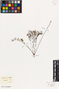 SW_BNB_s3010-09133_IMG-0000000001