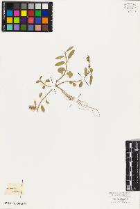 SW_BNB_s3010-09134_IMG-0000000001