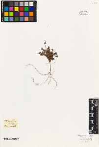 SW_BNB_s3010-09136_IMG-0000000001