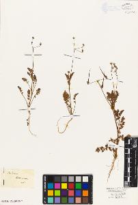SW_BNB_s3010-09141_IMG-0000000001