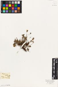 SW_BNB_s3010-09143_IMG-0000000001