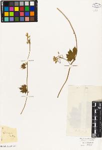 SW_BNB_s3010-09199_IMG-0000000001