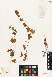 SW_BNB_s3010-09200_IMG-0000000001