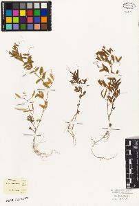 SW_BNB_s3010-09201_IMG-0000000001