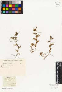 SW_BNB_s3010-09202_IMG-0000000001