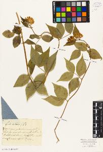 SW_BNB_s3010-09203_IMG-0000000001