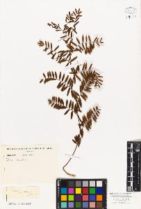 SW_BNB_s3010-09204_IMG-0000000001