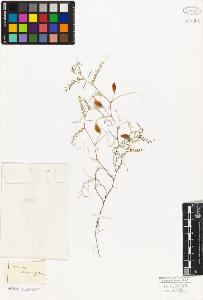 SW_BNB_s3010-09205_IMG-0000000001