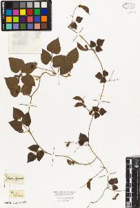 SW_BNB_s3010-09206_IMG-0000000001