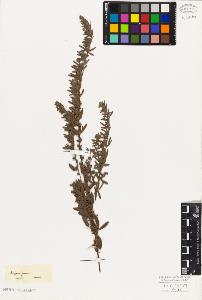 SW_BNB_s3010-09208_IMG-0000000001