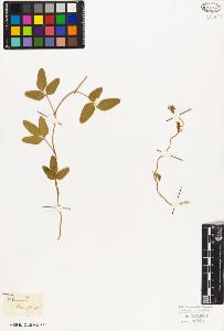 SW_BNB_s3010-09210_IMG-0000000001