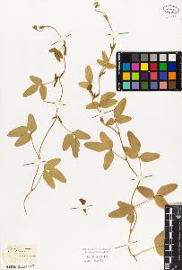 SW_BNB_s3010-09211_IMG-0000000001