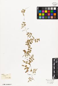 SW_BNB_s3010-09212_IMG-0000000001