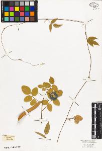 SW_BNB_s3010-09213_IMG-0000000001