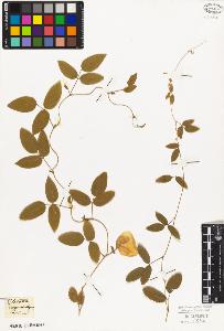 SW_BNB_s3010-09214_IMG-0000000001