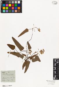 SW_BNB_s3010-09216_IMG-0000000001