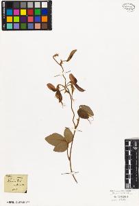 SW_BNB_s3010-09217_IMG-0000000001