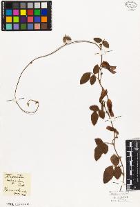 SW_BNB_s3010-09218_IMG-0000000001