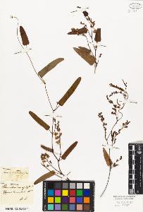 SW_BNB_s3010-09219_IMG-0000000001