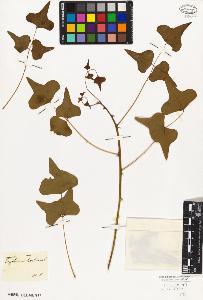 SW_BNB_s3010-09220_IMG-0000000001