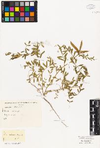 SW_BNB_s3010-09221_IMG-0000000001