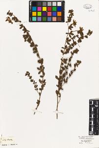 SW_BNB_s3010-09222_IMG-0000000001