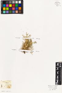 SW_BNB_s3010-09223_IMG-0000000001