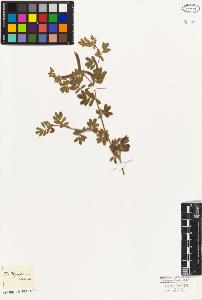 SW_BNB_s3010-09224_IMG-0000000001