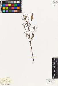 SW_BNB_s3010-09225_IMG-0000000001