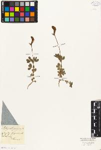 SW_BNB_s3010-09226_IMG-0000000001