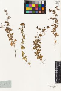 SW_BNB_s3010-09227_IMG-0000000001