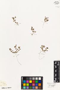 SW_BNB_s3010-09228_IMG-0000000001