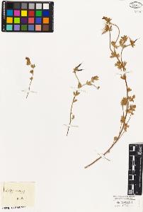 SW_BNB_s3010-09229_IMG-0000000001