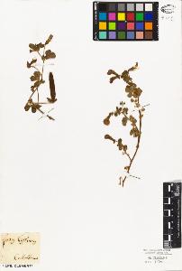 SW_BNB_s3010-09230_IMG-0000000001