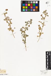 SW_BNB_s3010-09231_IMG-0000000001