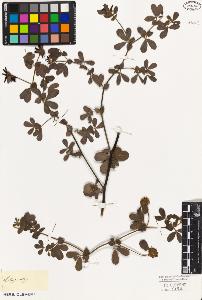 SW_BNB_s3010-09232_IMG-0000000001