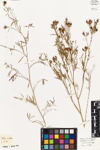 SW_BNB_s3010-09234_IMG-0000000001