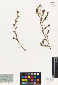 SW_BNB_s3010-09236_IMG-0000000001