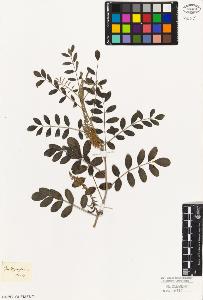 SW_BNB_s3010-09237_IMG-0000000001