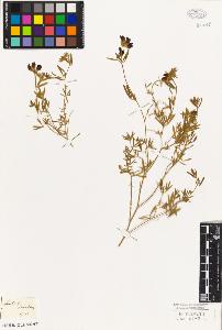 SW_BNB_s3010-09238_IMG-0000000001