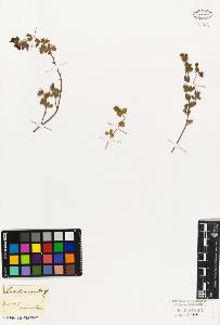 SW_BNB_s3010-09239_IMG-0000000001