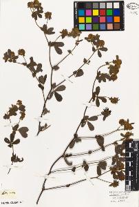 SW_BNB_s3010-09240_IMG-0000000001