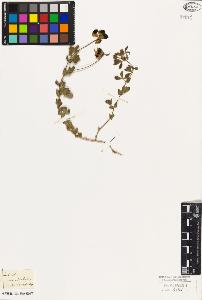 SW_BNB_s3010-09241_IMG-0000000001