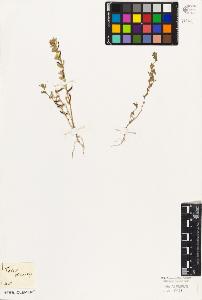 SW_BNB_s3010-09242_IMG-0000000001