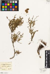 SW_BNB_s3010-09243_IMG-0000000001