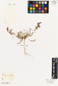 SW_BNB_s3010-09244_IMG-0000000001