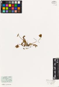 SW_BNB_s3010-09245_IMG-0000000001